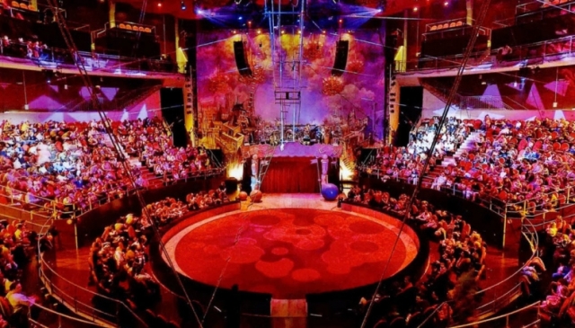 Circo Price en Navidad