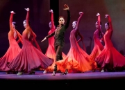 Flamenco y Monólogos