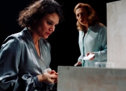 Edith Piaf: Taxidermia de un Gorrión