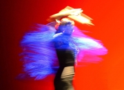 Las Minas Flamenco Tour