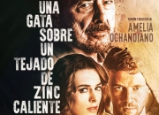 Una Gata Sobre un Tejado de Zinc Caliente